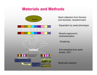 Genetic diversity of common beans as impacted on By farmer variety selection for the management Of bean root rots in south western uganda