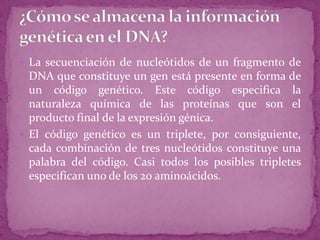  La secuenciación de nucleótidos de un fragmento de

DNA que constituye un gen está presente en forma de
un código genético. Este código especifica la
naturaleza química de las proteínas que son el
producto final de la expresión génica.
 El código genético es un triplete, por consiguiente,
cada combinación de tres nucleótidos constituye una
palabra del código. Casi todos los posibles tripletes
especifican uno de los 20 aminoácidos.

 
