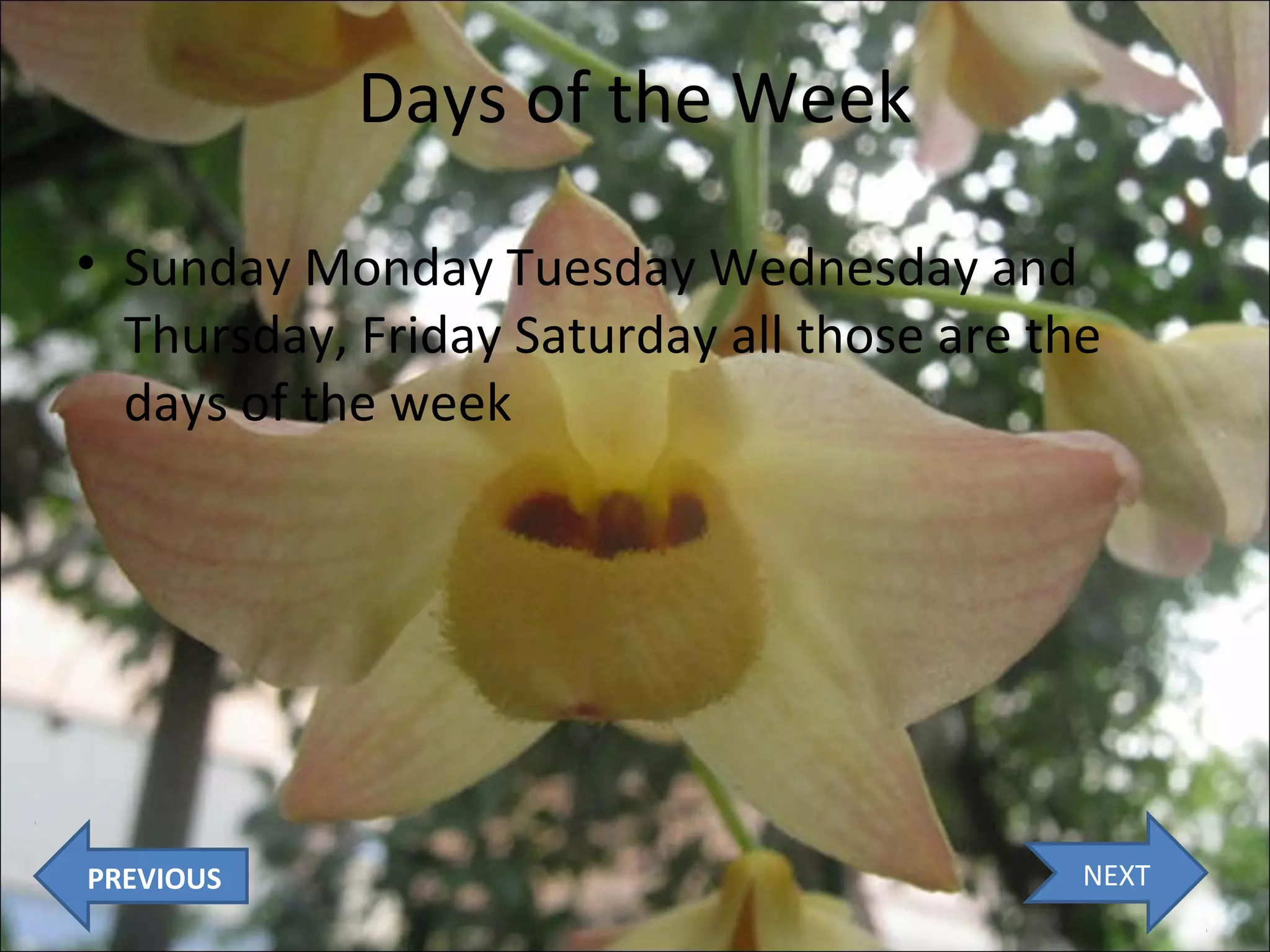 Days of the Week
• Sunday Monday Tuesday Wednesday and
Thursday, Friday Saturday all those are the
days of the week

PREVIOUS

NEXT

 