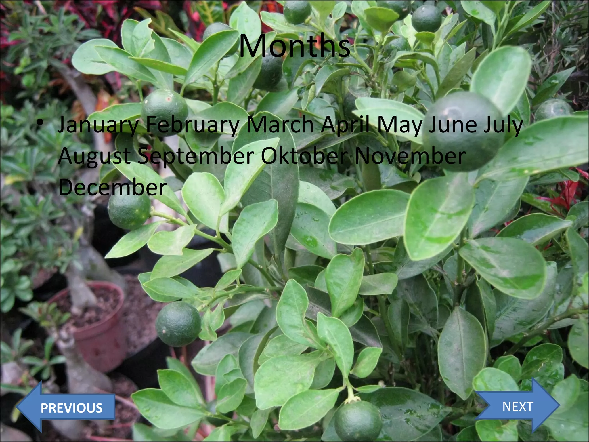 Months
• January February March April May June July
August September Oktober November
December

PREVIOUS

NEXT

 