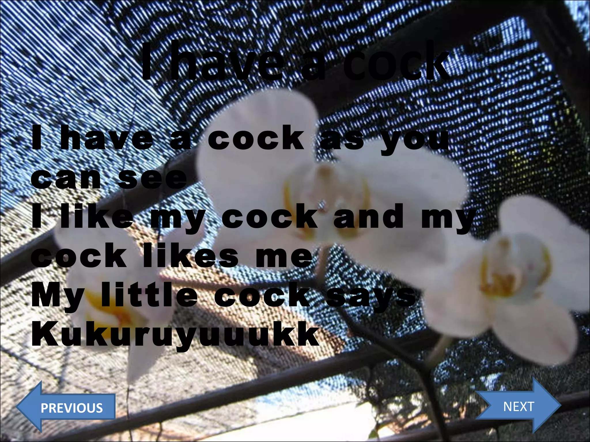 I have a cock
I have a cock as you
can see
I like my cock and my
cock likes me
My little cock says
Kukuruyuuukk
PREVIOUS

NEXT

 