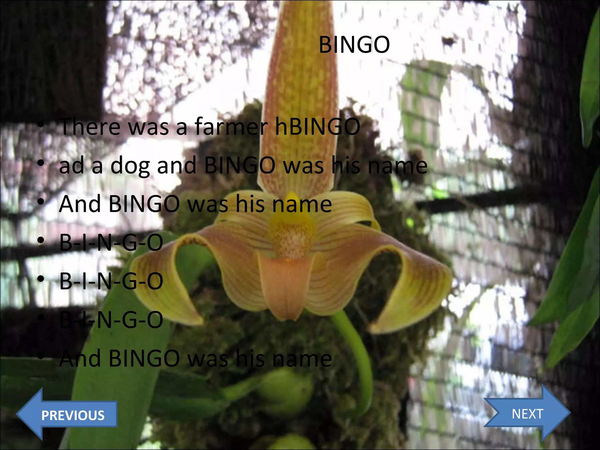 BINGO
•
•
•
•
•
•
•

There was a farmer hBINGO
ad a dog and BINGO was his name
And BINGO was his name
B-I-N-G-O
B-I-N-G-O
B-I-N-G-O
And BINGO was his name

PREVIOUS

NEXT

 
