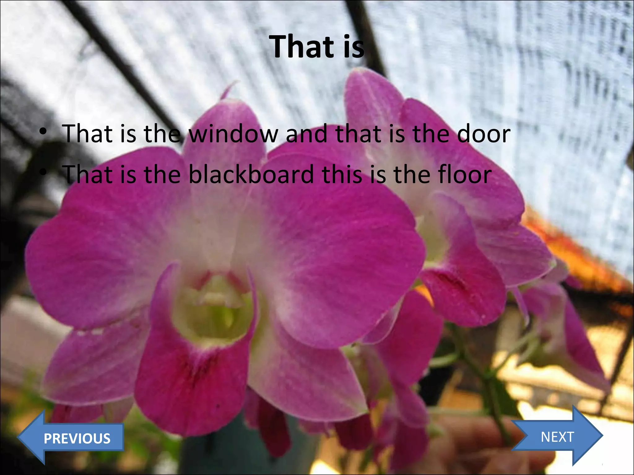 That is
• That is the window and that is the door
• That is the blackboard this is the floor

PREVIOUS

NEXT

 