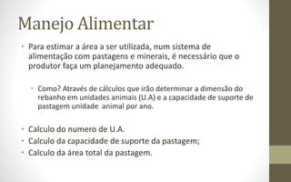 Manejo Alimentar
• Para estimar a área a ser utilizada, num sistema de
alimentação com pastagens e minerais, é necessário que o
produtor faça um planejamento adequado.
• Como? Através de cálculos que irão determinar a dimensão do
rebanho em unidades animais (U.A) e a capacidade de suporte de
pastagem unidade animal por ano.
• Calculo do numero de U.A.
• Calculo da capacidade de suporte da pastagem;
• Calculo da área total da pastagem.
 