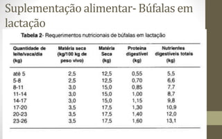 Suplementação alimentar- Búfalas em
lactação
 