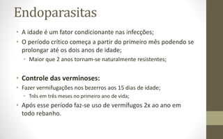 Endoparasitas
• A idade é um fator condicionante nas infecções;
• O período crítico começa a partir do primeiro mês podendo se
prolongar até os dois anos de idade;
• Maior que 2 anos tornam-se naturalmente resistentes;
• Controle das verminoses:
• Fazer vermifugações nos bezerros aos 15 dias de idade;
• Três em três meses no primeiro ano de vida;
• Após esse período faz-se uso de vermífugos 2x ao ano em
todo rebanho.
 