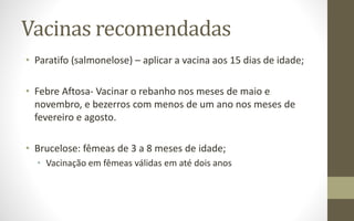Vacinas recomendadas
• Paratifo (salmonelose) – aplicar a vacina aos 15 dias de idade;
• Febre Aftosa- Vacinar o rebanho nos meses de maio e
novembro, e bezerros com menos de um ano nos meses de
fevereiro e agosto.
• Brucelose: fêmeas de 3 a 8 meses de idade;
• Vacinação em fêmeas válidas em até dois anos
 