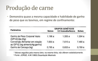 Produção de carne
• Demonstra quase a mesma capacidade e habilidade de ganho
de peso que os bovinos, em regime de confinamento:
 