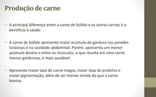 Produçãode carne
• A principal diferença entre a carne de búfalo e as outras carnes é o
benefício à saúde.
• A carne de búfalo apresenta maior acúmulo de gordura nas paredes
torácicas e na cavidade abdominal. Porém, apresenta um menor
acúmulo dentro e entre os músculos, o que resulta em uma carne
menos gordurosa, e mais saudável.
• Apresenta maior taxa de carne magra, maior taxa de proteína e
maior pigmentação, além de ser menos úmida do que a carne
bovina.
 