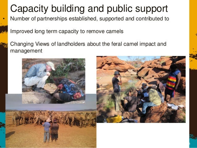 Andrew Bubb: 'Establishing the environmental assessment ...