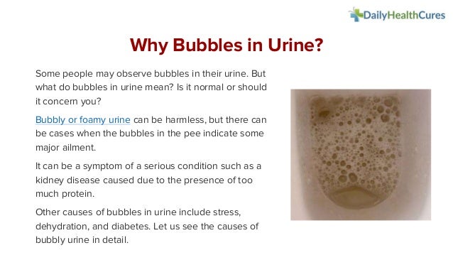 Pictures Of Bubbles In Urine Go images Web