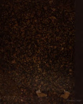 Bub gb g_dmoaaaaiaaj