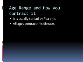 Age Range and How you
contract it
 It is usually spread by flea bite.
 All ages contract this disease.
 