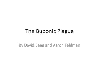 The Bubonic Plague By David Bang and Aaron Feldman 