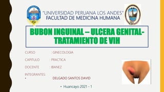BUBON INGUINAL – ULCERA GENITAL-
TRATAMIENTO DE VIH
• Huancayo 2021 - 1
“UNIVERSIDAD PERUANA LOS ANDES”
FACULTAD DE MEDICINA HUMANA
CURSO : GINECOLOGIA
CAPITULO : PRACTICA
DOCENTE : IBANEZ
INTEGRANTES:
• DELGADO SANTOS DAVID
 