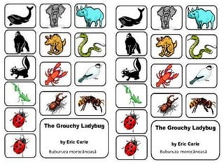 Buburuza morocănoasă