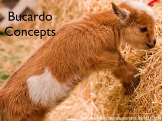 Bucardo
 Concepts
en
dp
 oi
     nt
        .c
       om




             http://www.ﬂickr.com/photos/kendrick/361173694
 