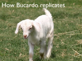 How Bucardo replicates
en
dp
 oi
     nt
        .c
       om
 
