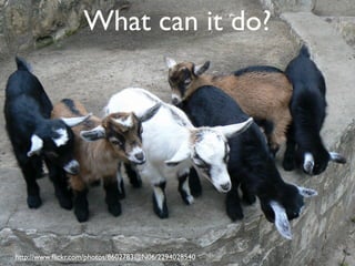 What can it do?
en
dp
 oi
     nt
        .c




     http://www.ﬂickr.com/photos/8602783@N06/2294028540
       om
 