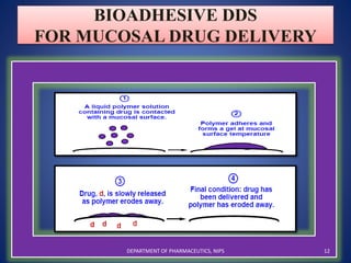 BIOADHESIVE DDS
FOR MUCOSAL DRUG DELIVERY
12DEPARTMENT OF PHARMACEUTICS, NIPS
 