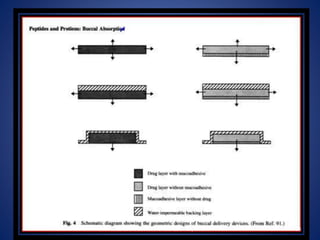 20DEPARTMENT OF PHARMACEUTICS, NIPS
 