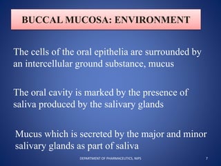 BUCCAL MUCOSA: ENVIRONMENT
The cells of the oral epithelia are surrounded by
an intercellular ground substance, mucus
The oral cavity is marked by the presence of
saliva produced by the salivary glands
Mucus which is secreted by the major and minor
salivary glands as part of saliva
7DEPARTMENT OF PHARMACEUTICS, NIPS
 