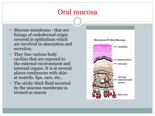 Oral mucosa
 Mucous membrane : that are
linings of endodermal origin
covered in epithelium which
are involved in absorption and
secretion.
 They line various body
cavities that are exposed to
the external environment and
internal organs. It is at several
places continuous with skin-
at nostrils, lips, ears, etc..
 The sticky thick fluid secreted
by the mucous membrane is
termed as mucus
 