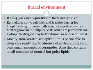 Buccal environment
 It has 4 parts and is 500-800nm thick and 150sq cm
 Epithelium: 40-50 cell thick and is major barrier for
lipophilic drug. It has initially square shaped cells which
further grows in the elliptical cells which are permeable for
hydrophilic drugs.it may be keratinized or non-keratinized.
 Mostly, non-keratinised epithilium is permeable to
drug very easily due to absence of acylceramides and
only small amounts of ceramides. Also they contain
small amounts of neutral but polar lipids
 