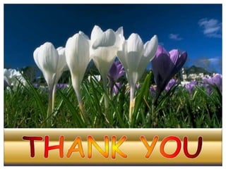 Buccal drug delivery system 