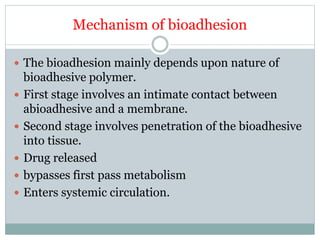 Mechanism of bioadhesion
 The bioadhesion mainly depends upon nature of
bioadhesive polymer.
 First stage involves an intimate contact between
abioadhesive and a membrane.
 Second stage involves penetration of the bioadhesive
into tissue.
 Drug released
 bypasses first pass metabolism
 Enters systemic circulation.
 