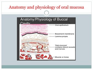 Anatomy and physiology of oral mucosa
 