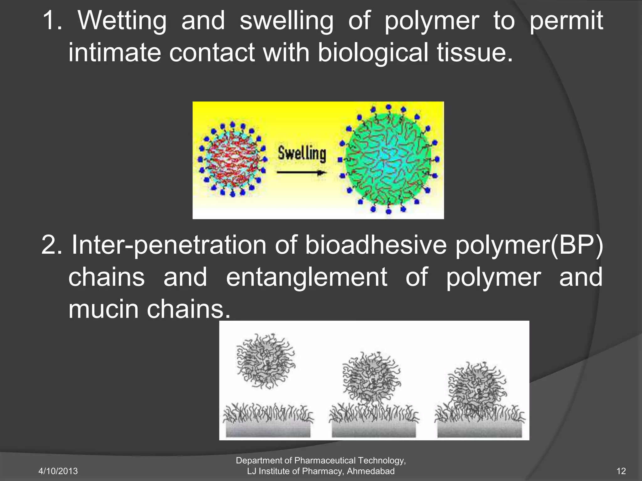 1. Wetting and swelling of polymer to permit
  intimate contact with biological tissue.




2. Inter-penetration of bioadhesive polymer(BP)
   chains and entanglement of polymer and
   mucin chains.




                Department of Pharmaceutical Technology,
4/10/2013         LJ Institute of Pharmacy, Ahmedabad      12
 