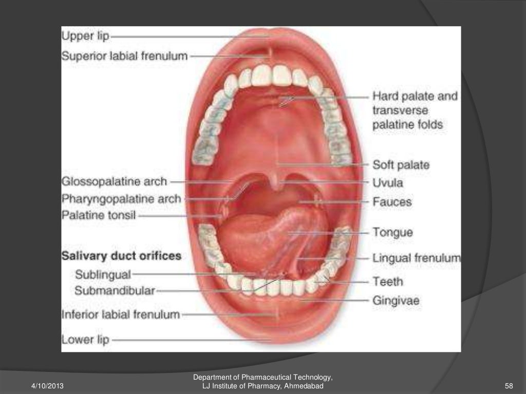 Buccal drug delivery system
