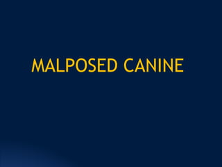 MALPOSED CANINE
 