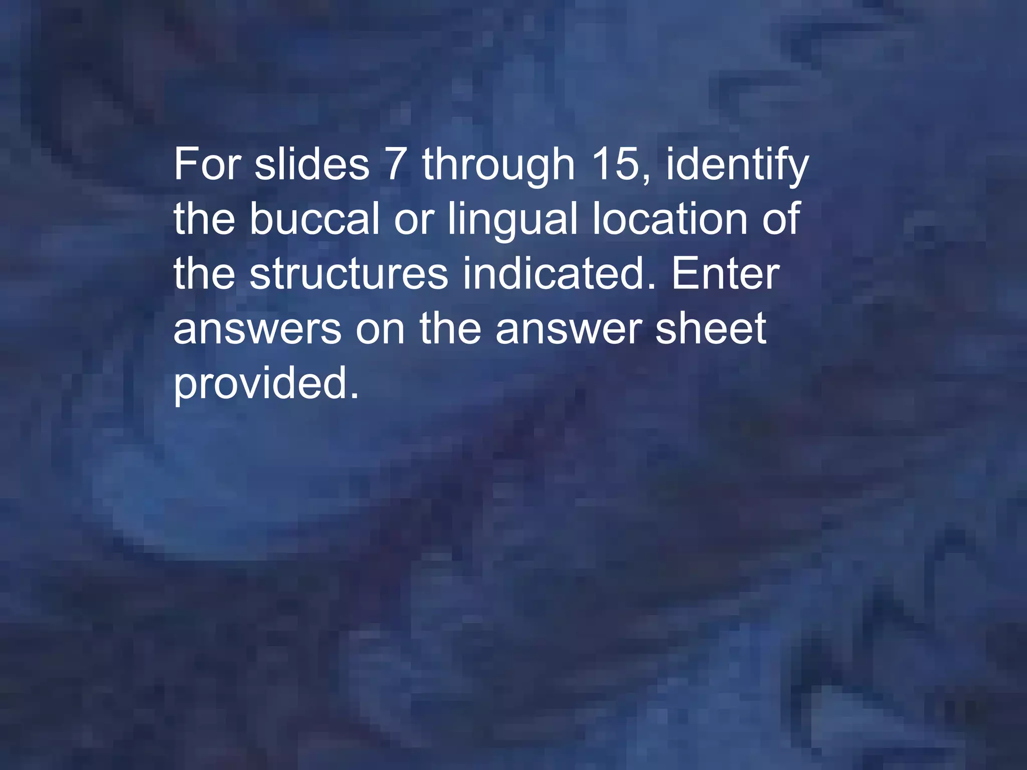 For slides 7 through 15, identify
the buccal or lingual location of
the structures indicated. Enter
answers on the answer sheet
provided.
 