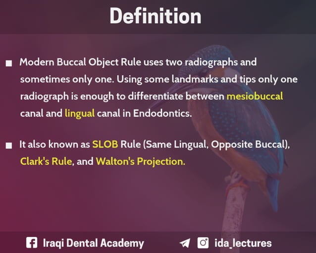 Buccal Object Rule A Radiographic Aid in Dental Practice.