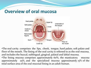 Overview of oral mucosa
•The oral cavity comprises the lips, cheek, tongue, hard palate, soft palate and
floor of the mouth. The lining of the oral cavity is referred to as the oral mucosa,
and includes the buccal, sublingual, gingival, palatal and labial mucosa.
•The lining mucosa comprises approximately 60%, the masticatory mucosa
approximately 25%, and the specialized mucosa approximately 15% of the
total surface area of the oral mucosal lining in an adult human.
 