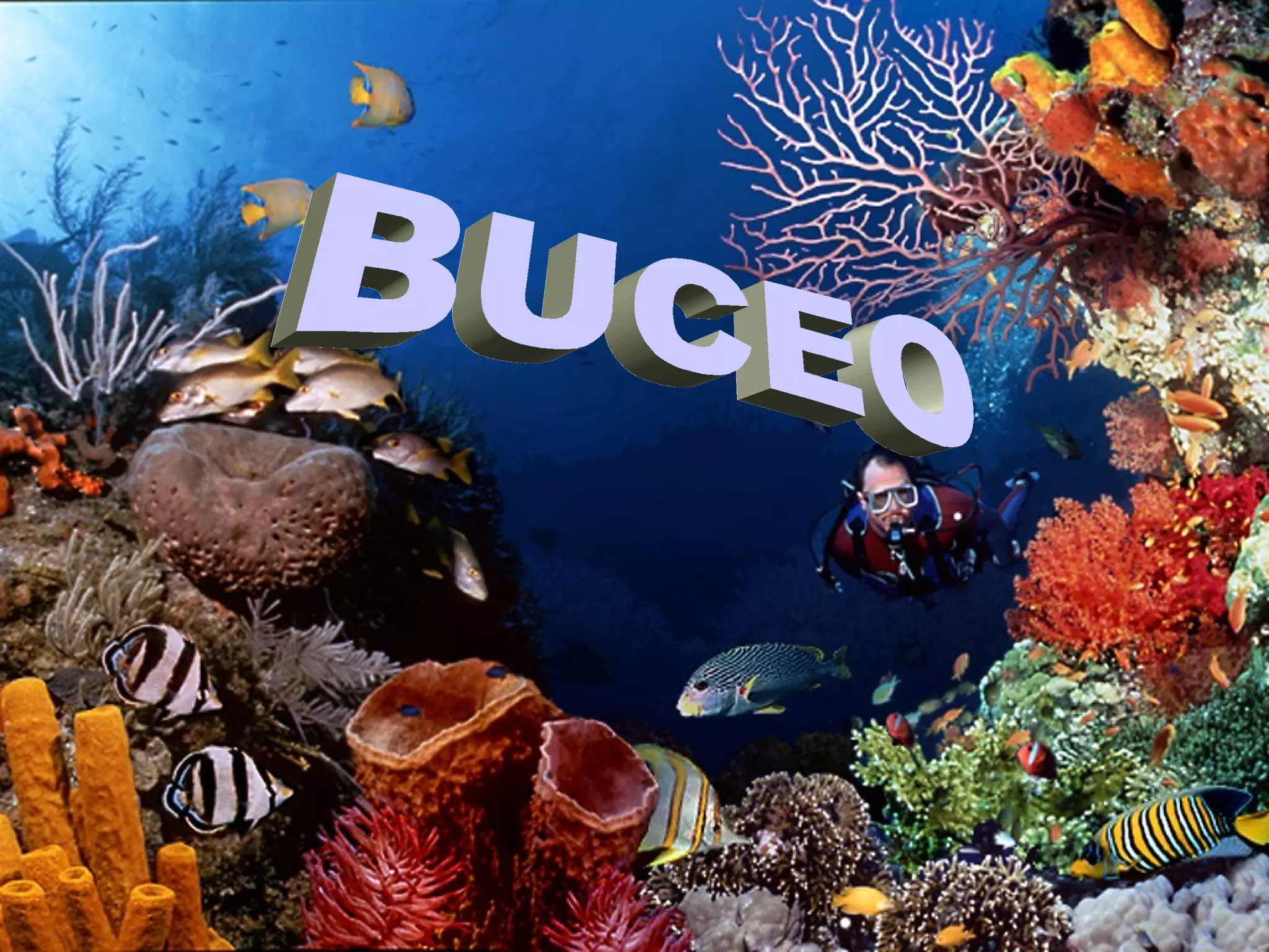 BUCEO