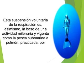 Esta suspensión voluntaria
de la respiración es,
asimismo, la base de una
actividad milenaria y vigente
como la pesca submarina a
pulmón, practicada, por
 
