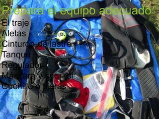 Prepara el equipo adecuado
El traje
Aletas
Cinturón de lastre
Tanque
Regulador
Máscara y snorkel
Cuchillo o tijeras
 
