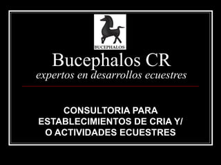 Bucephalos CR expertos en desarrollos ecuestres CONSULTORIA PARA ESTABLECIMIENTOS DE CRIA Y/O ACTIVIDADES ECUESTRES 