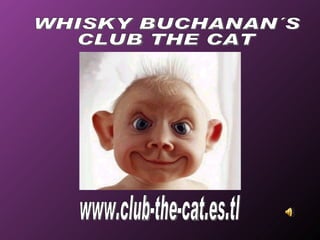 www.club-the-cat.es.tl WHISKY BUCHANAN´S CLUB THE CAT 