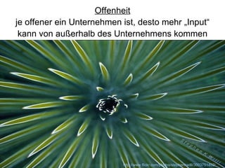http://www.flickr.com/photos/stephenkwilli/3003751402/ Offenheit je offener ein Unternehmen ist, desto mehr „Input“ kann von außerhalb des Unternehmens kommen  