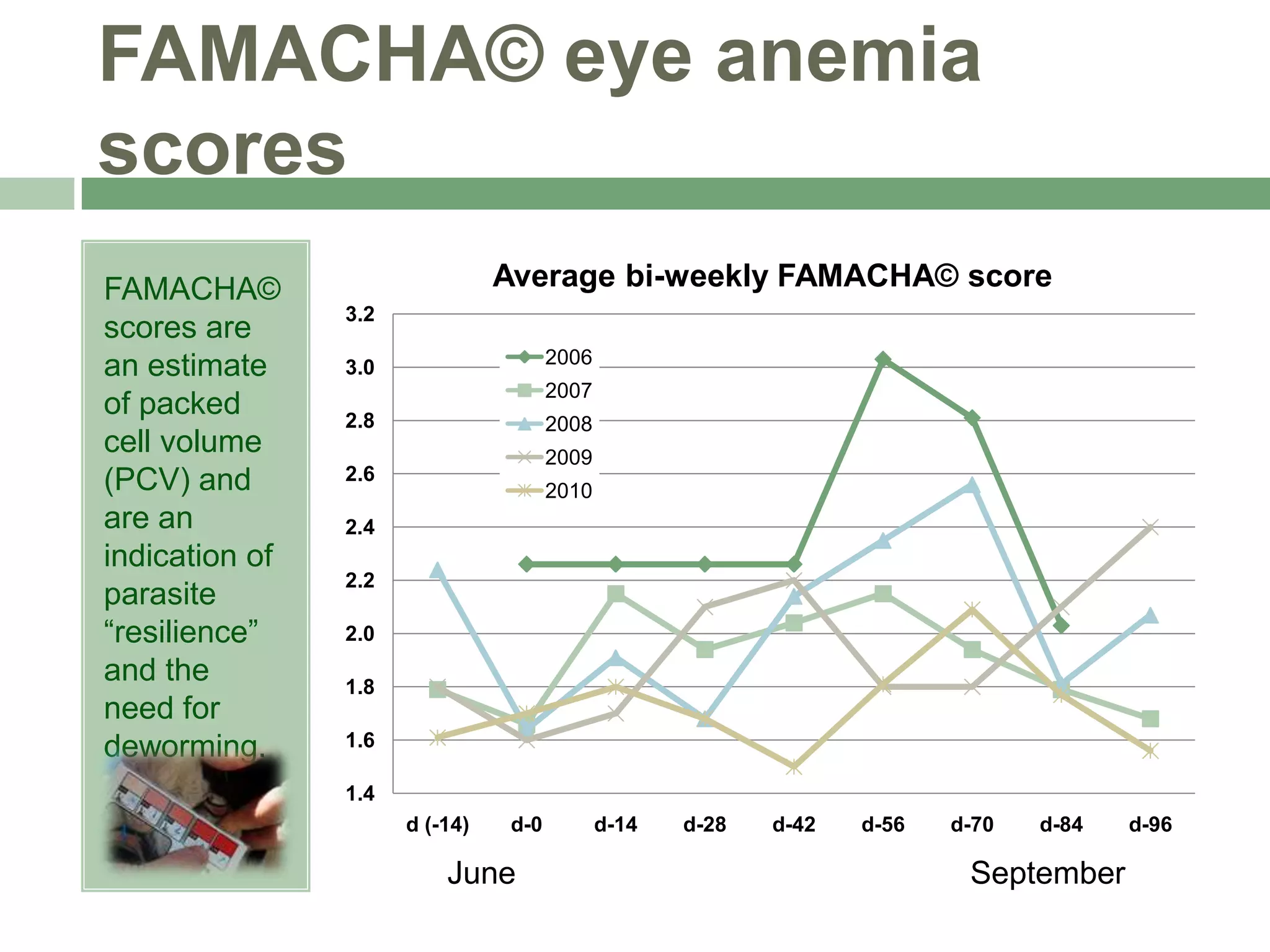 FAMACHA© eye anemia
scores
FAMACHA©
scores are
an estimate
of packed
cell volume
(PCV) and
are an
indication of
parasite
“resilience”
and the
need for
deworming.

Average bi-weekly FAMACHA© score
3.2
2006

3.0

2007
2.8

2008
2009

2.6

2010

2.4
2.2
2.0
1.8
1.6
1.4
d (-14)

d-0

June

d-14

d-28

d-42

d-56

d-70

d-84

September

d-96

 