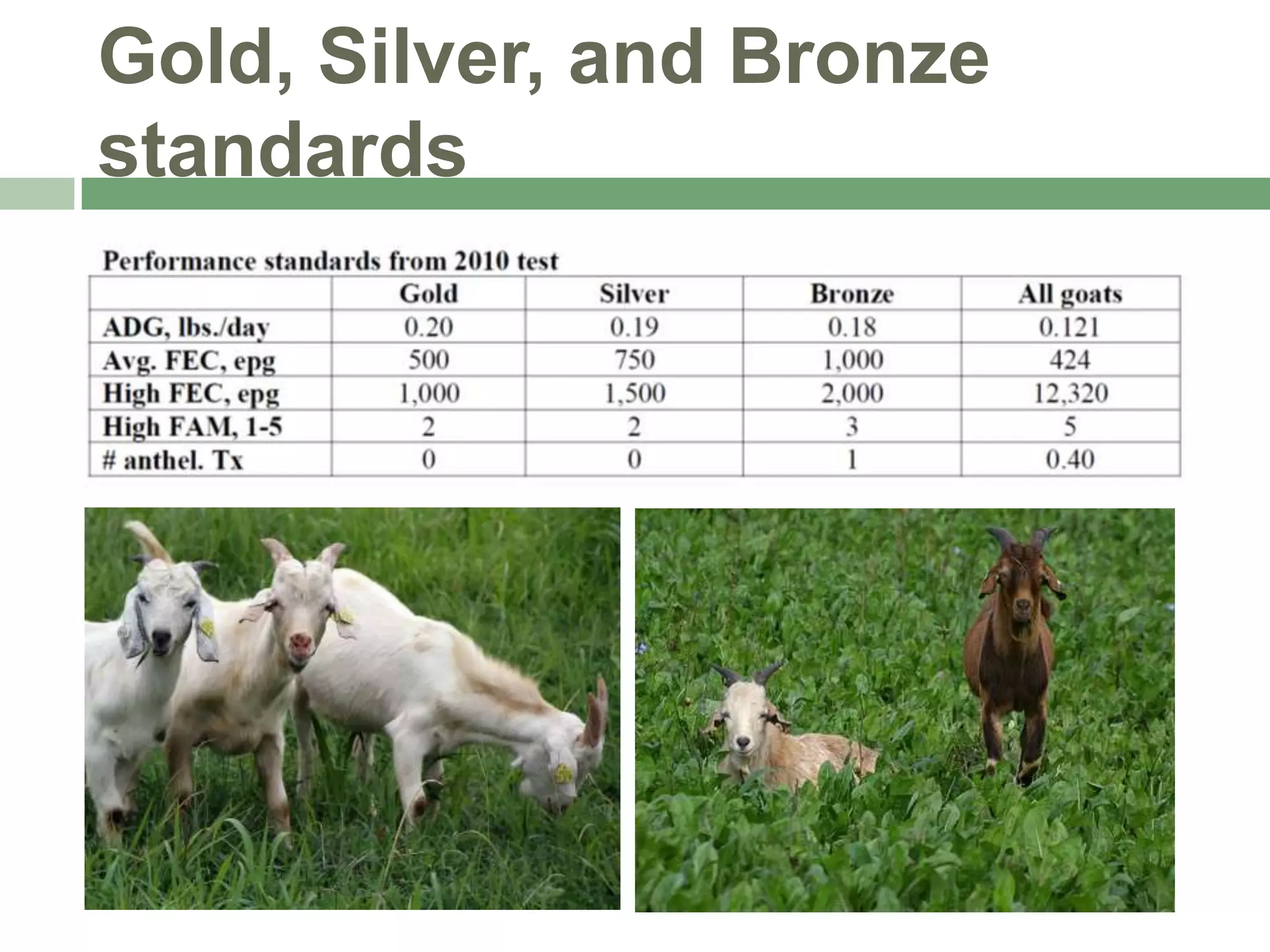 Gold, Silver, and Bronze
standards

 