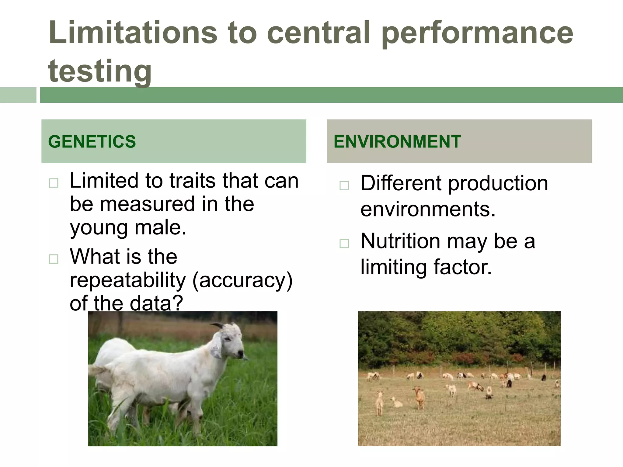 Limitations to central performance
testing
GENETICS




Limited to traits that can
be measured in the
young male.
What is the
repeatability (accuracy)
of the data?

ENVIRONMENT




Different production
environments.
Nutrition may be a
limiting factor.

 
