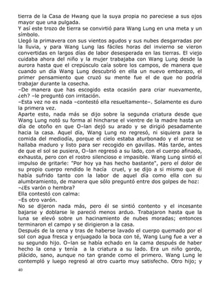 tierra de la Casa de Hwang que la suya propia no pareciese a sus ojos
mayor que una pulgada.
Y así este trozo de tierra se convirtió para Wang Lung en una meta y un
símbolo.
Llegó la primavera con sus vientos agudos y sus nubes desgarradas por
la lluvia, y para Wang Lung las fáciles horas del invierno se vieron
convertidas en largos días de labor desesperada en las tierras. El viejo
cuidaba ahora del niño y la mujer trabajaba con Wang Lung desde la
aurora hasta que el crepúsculo caía sobre los campos, de manera que
cuando un día Wang Lung descubrió en ella un nuevo embarazo, el
primer pensamiento que cruzó su mente fue el de que no podría
trabajar durante la cosecha.
–De manera que has escogido esta ocasión para criar nuevamente,
¿eh? –le preguntó con irritación.
–Esta vez no es nada –contestó ella resueltamente–. Solamente es duro
la primera vez.
Aparte esto, nada más se dijo sobre la segunda criatura desde que
Wang Lung notó su forma al hincharse el vientre de la madre hasta un
día de otoño en que O–lan dejó su arado y se dirigió pesadamente
hacia la casa. Aquel día, Wang Lung no regresó, ni siquiera para la
comida del mediodía, porque el cielo estaba aturbonado y el arroz se
hallaba maduro y listo para ser recogido en gavillas. Más tarde, antes
de que el sol se pusiera, O–lan regresó a su lado, con el cuerpo afinado,
exhausta, pero con el rostro silencioso e impasible. Wang Lung sintió el
impulso de gritarle: "Por hoy ya has hecho bastante", pero el dolor de
su propio cuerpo rendido le hacía cruel, y se dijo a si mismo que él
había sufrido tanto con la labor de aquel día como ella con su
alumbramiento, de manera que sólo preguntó entre dos golpes de hoz:
–¿Es varón o hembra?
Ella contestó con calma:
–Es otro varón.
No se dijeron nada más, pero él se sintió contento y el incesante
bajarse y doblarse le pareció menos arduo. Trabajaron hasta que la
luna se elevó sobre un hacinamiento de nubes moradas; entonces
terminaron el campo y se dirigieron a la casa.
Después de la cena y tras de haberse lavado el cuerpo quemado por el
sol con agua fresca y enjuagado la boca con té, Wang Lung fue a ver a
su segundo hijo. O–lan se había echado en la cama después de haber
hecho la cena y tenía a la criatura a su lado. Era un niño gordo,
plácido, sano, aunque no tan grande como el primero. Wang Lung le
contempló y luego regresó al otro cuarto muy satisfecho. Otro hijo; y
40

 
