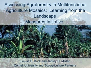 Assessing Agroforestry in Multifunctional Agriculture Mosaics:  Learning from the Landscape  Measures Initiative  Louise E. Buck and Jeffrey C. Milder  Cornell University and Ecoagriculture Partners   