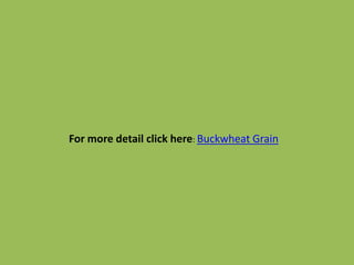 For more detail click here: Buckwheat Grain
 