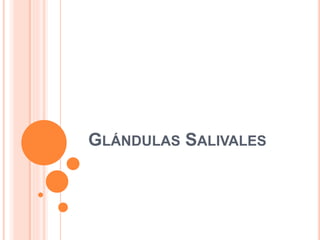 GLÁNDULAS SALIVALES 
 